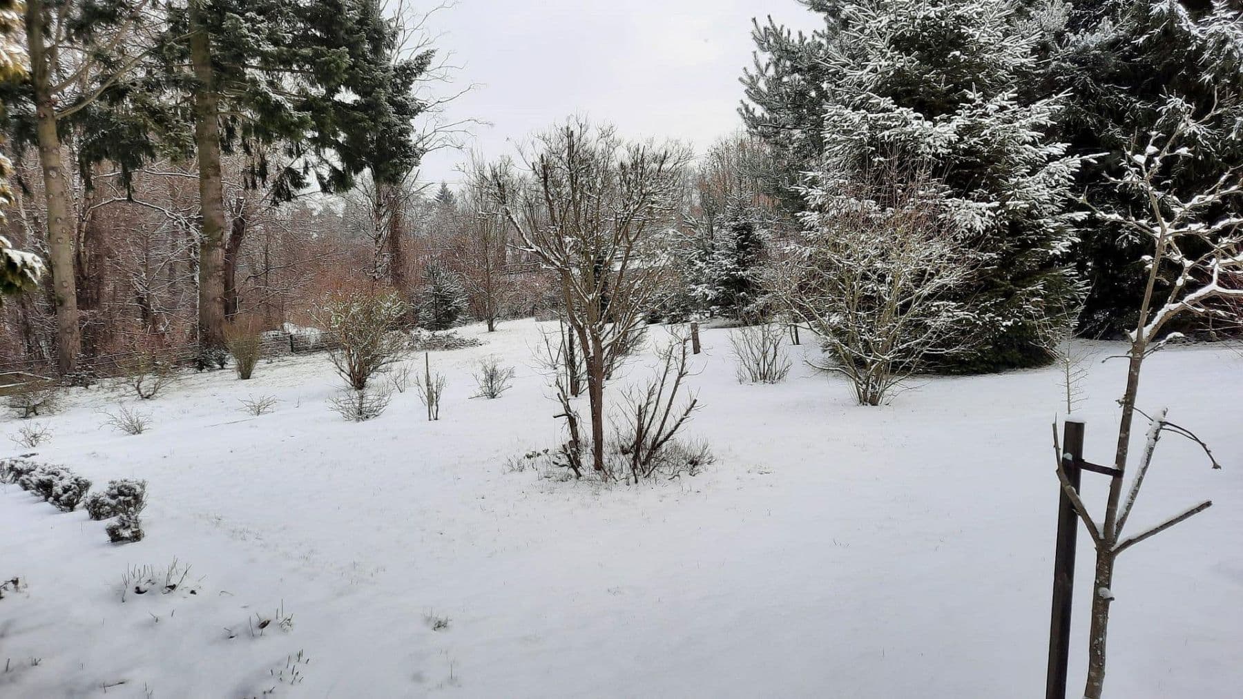 Prodej pozemku 1.102 m², Hohen Neuendorf, Braniborsko Prodej pozemku 1.102 m², Hohen Neuendorf, Braniborsko