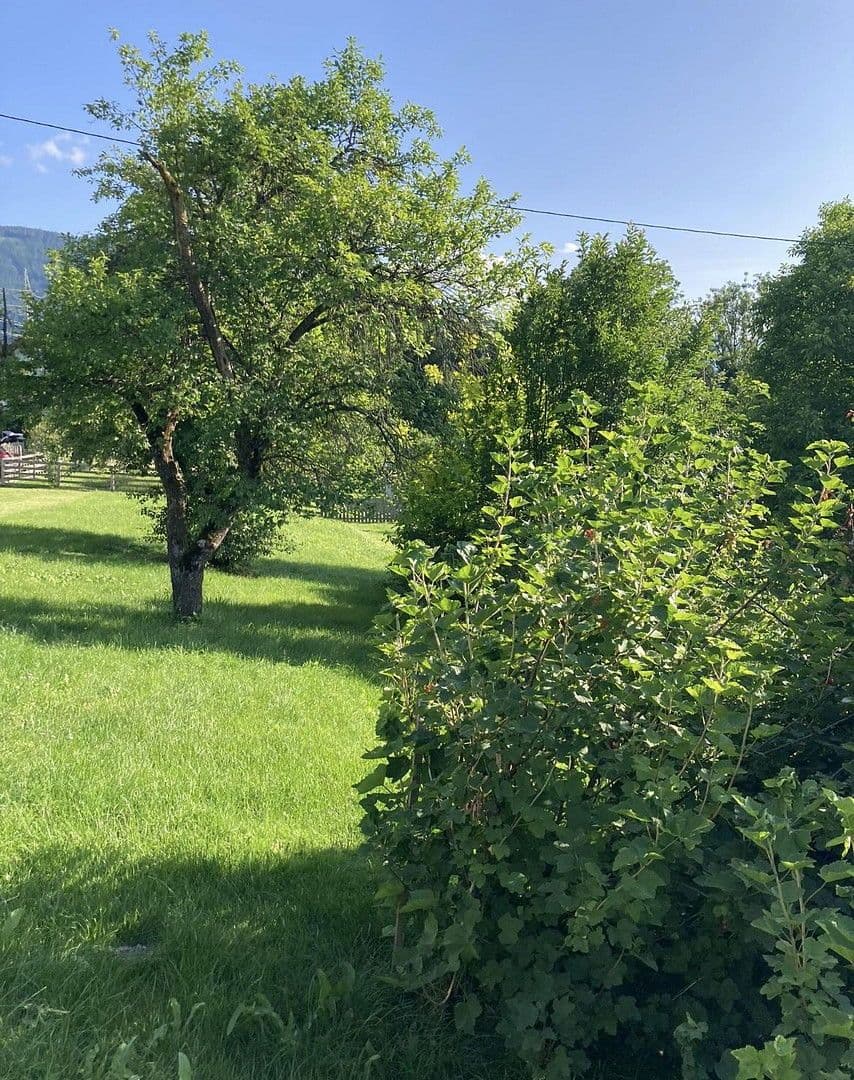 Prodej pozemku 1.123 m², Tachenberg, Aigen, Štýrsko Prodej pozemku 1.123 m², Tachenberg, Aigen, Štýrsko