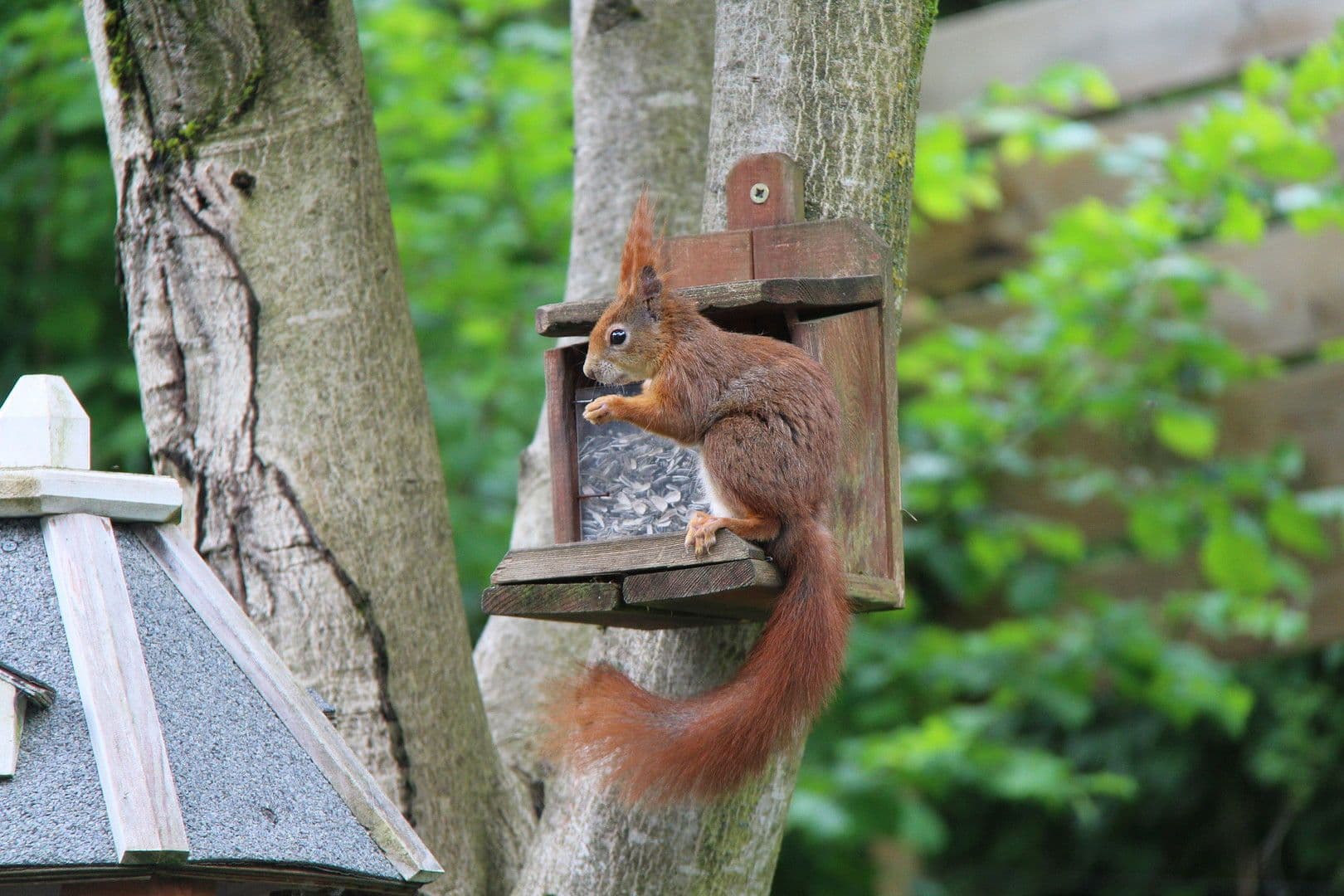 Prodej domu 198 m², pozemek 680 m², Egloffstein, Bavorsko Prodej domu 198 m², pozemek 680 m², Egloffstein, Bavorsko
