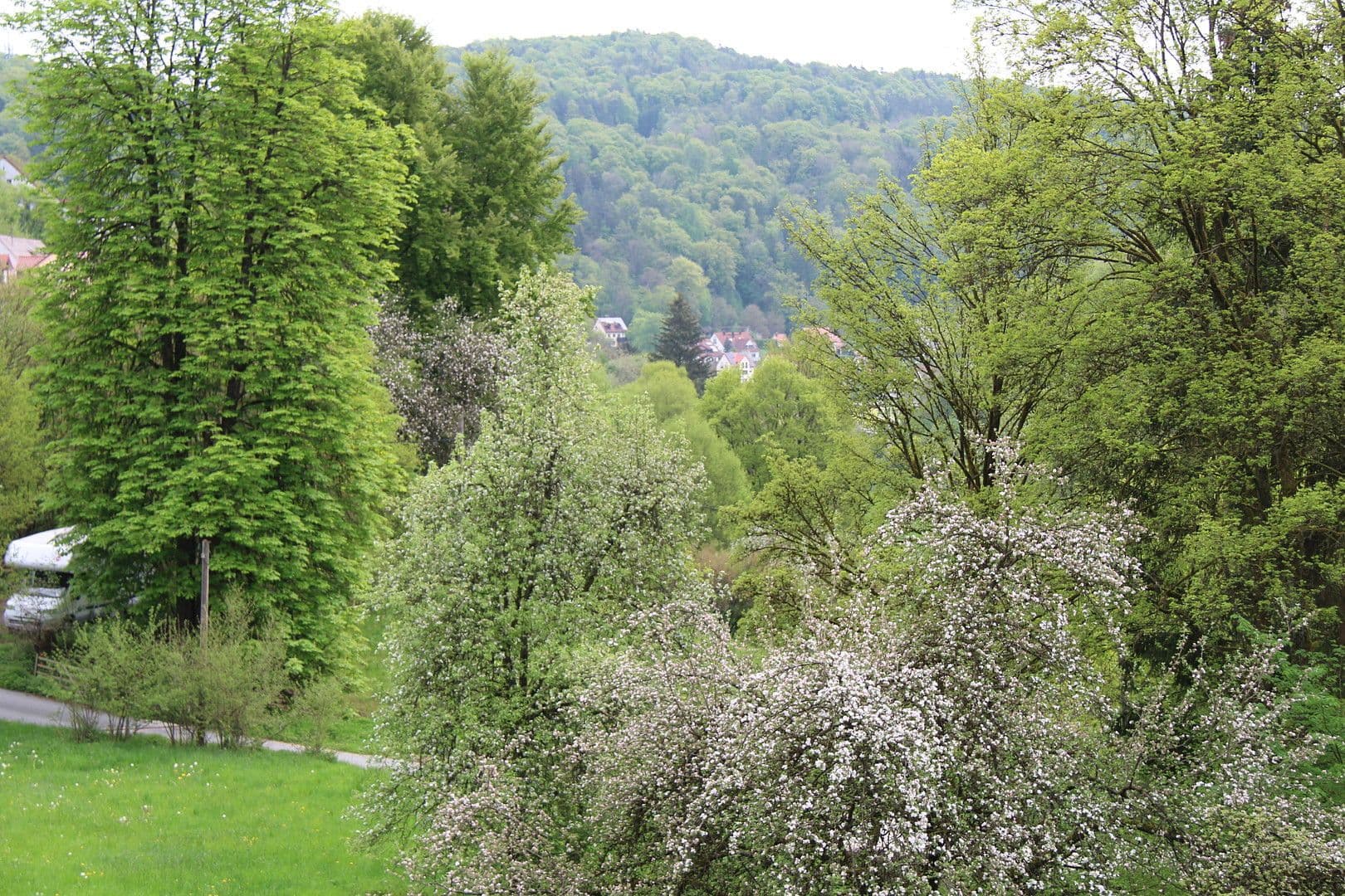 Prodej domu 198 m², pozemek 680 m², Egloffstein, Bavorsko Prodej domu 198 m², pozemek 680 m², Egloffstein, Bavorsko