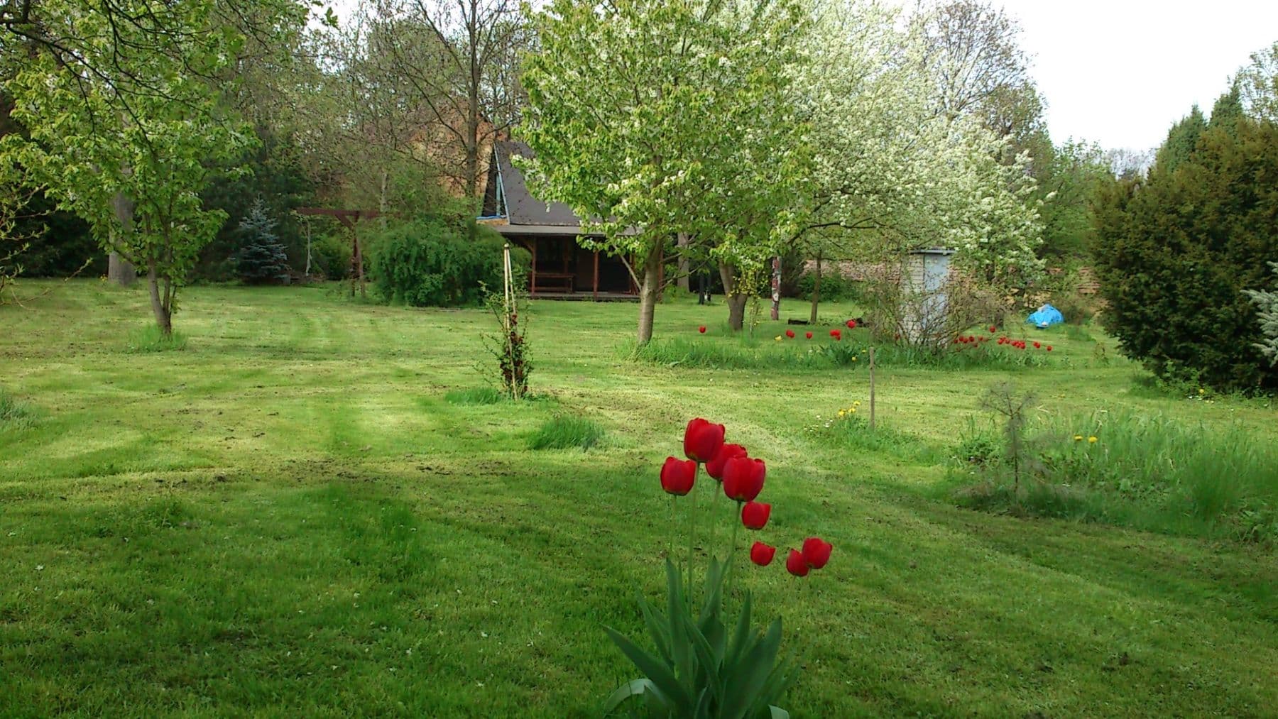 Pronájem chaty, chalupy 30 m², pozemek 1.800 m², Levohradecká, Roztoky, Středočeský kraj Pronájem chaty, chalupy 30 m², pozemek 1.800 m², Levohradecká, Roztoky, Středočeský kraj