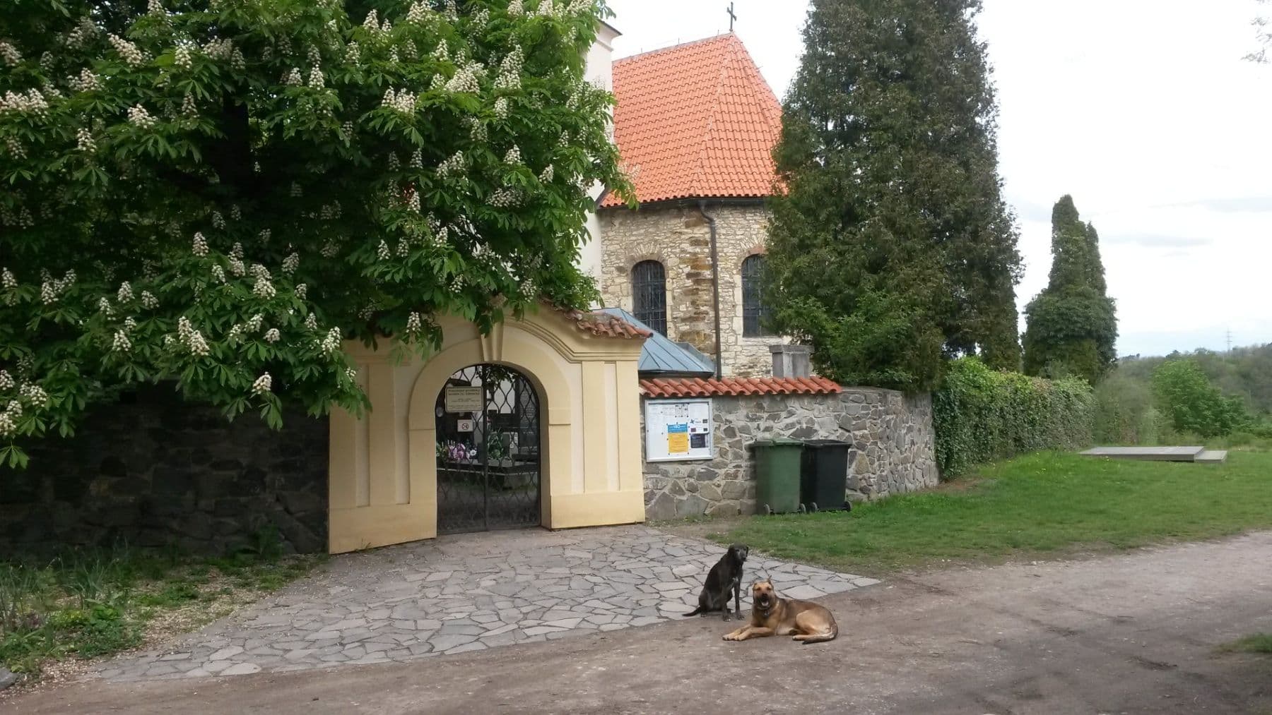 Pronájem chaty, chalupy 30 m², pozemek 1.800 m², Levohradecká, Roztoky, Středočeský kraj Pronájem chaty, chalupy 30 m², pozemek 1.800 m², Levohradecká, Roztoky, Středočeský kraj