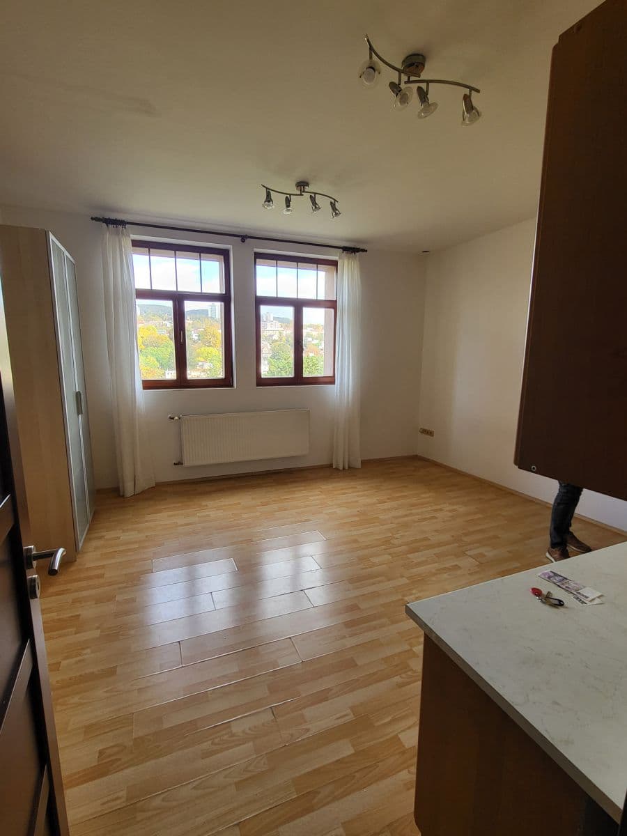 Pronájem bytu 1+kk 30 m², Palachova, Ústí nad Labem, Ústecký kraj Pronájem bytu 1+kk 30 m², Palachova, Ústí nad Labem, Ústecký kraj