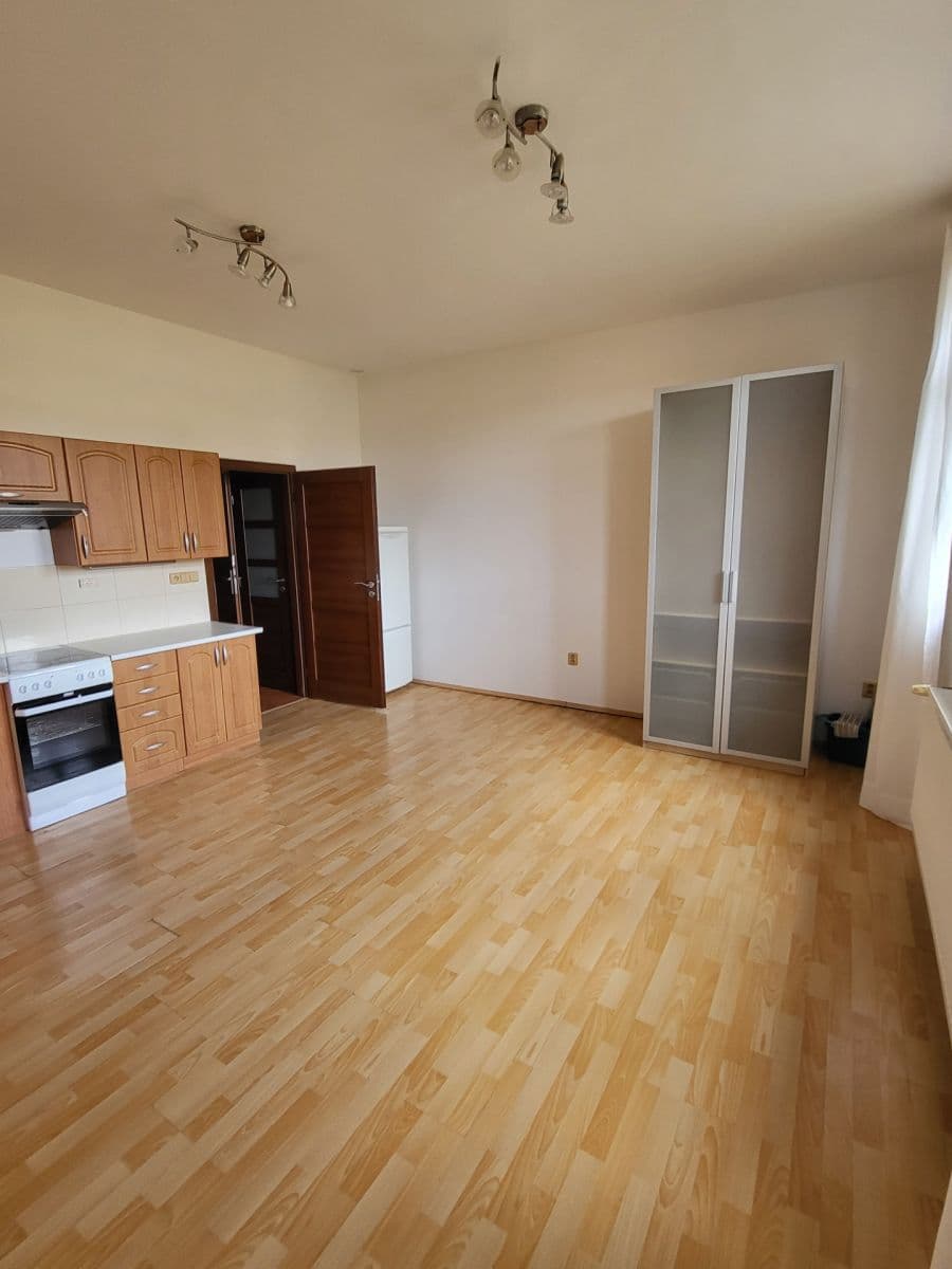 Pronájem bytu 1+kk 30 m², Palachova, Ústí nad Labem, Ústecký kraj Pronájem bytu 1+kk 30 m², Palachova, Ústí nad Labem, Ústecký kraj