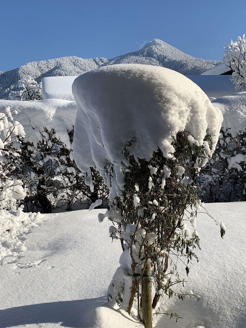 Prodej domu 160 m², pozemek 360 m², Lenggries, Bavorsko Prodej domu 160 m², pozemek 360 m², Lenggries, Bavorsko