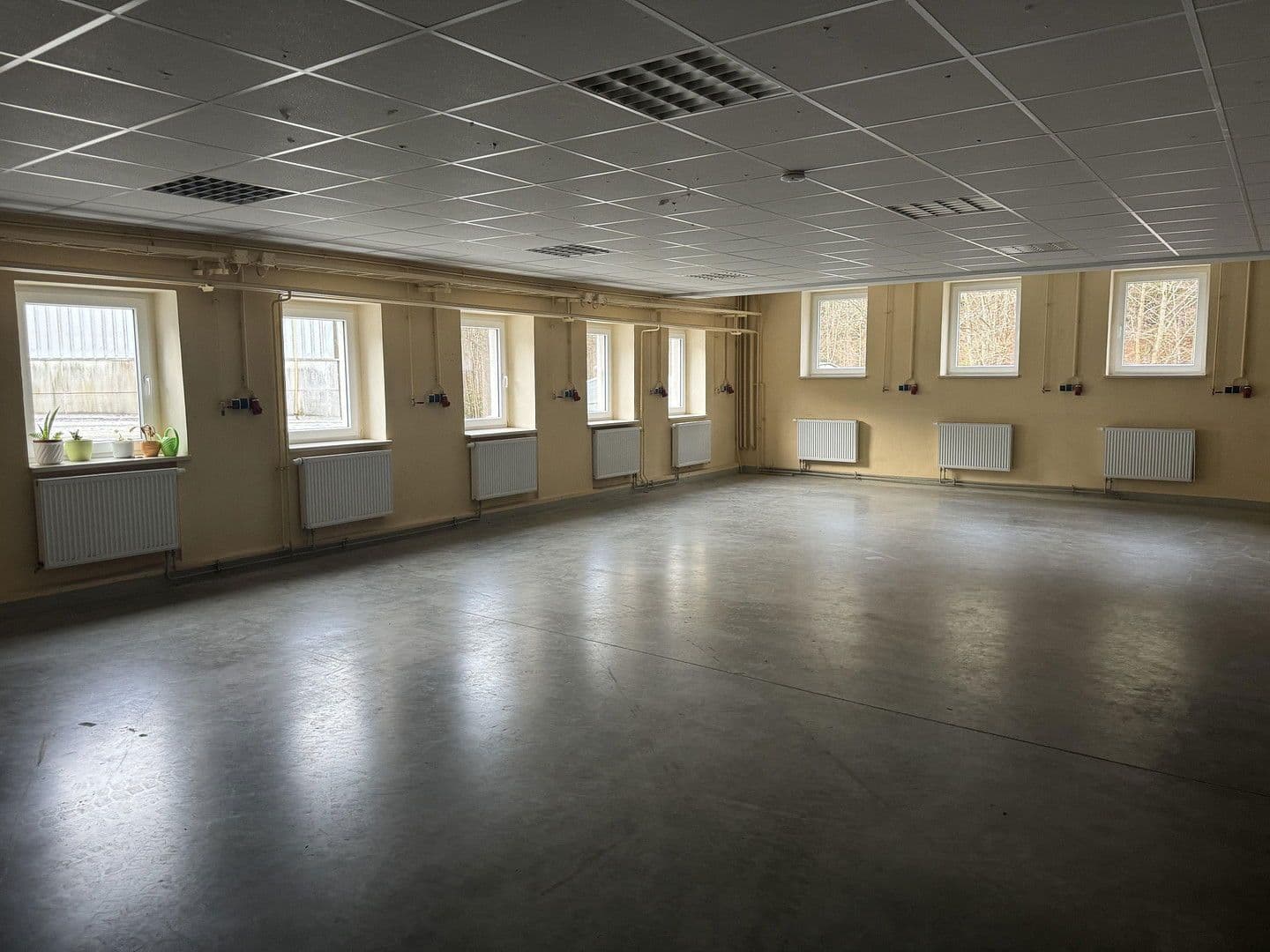 Pronájem nebytového prostoru 9.700 m², Großrückerswalde, Sasko Pronájem nebytového prostoru 9.700 m², Großrückerswalde, Sasko