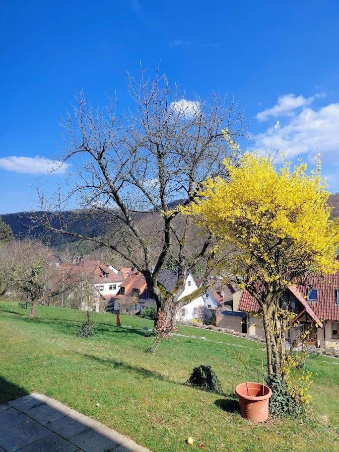 Pronájem bytu 3+1 83 m², Mömbris, Bavorsko Pronájem bytu 3+1 83 m², Mömbris, Bavorsko