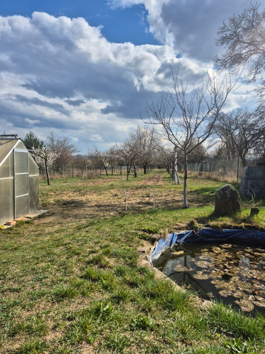 Prodej pozemku 2.950 m², Rohatec, Jihomoravský kraj Prodej pozemku 2.950 m², Rohatec, Jihomoravský kraj