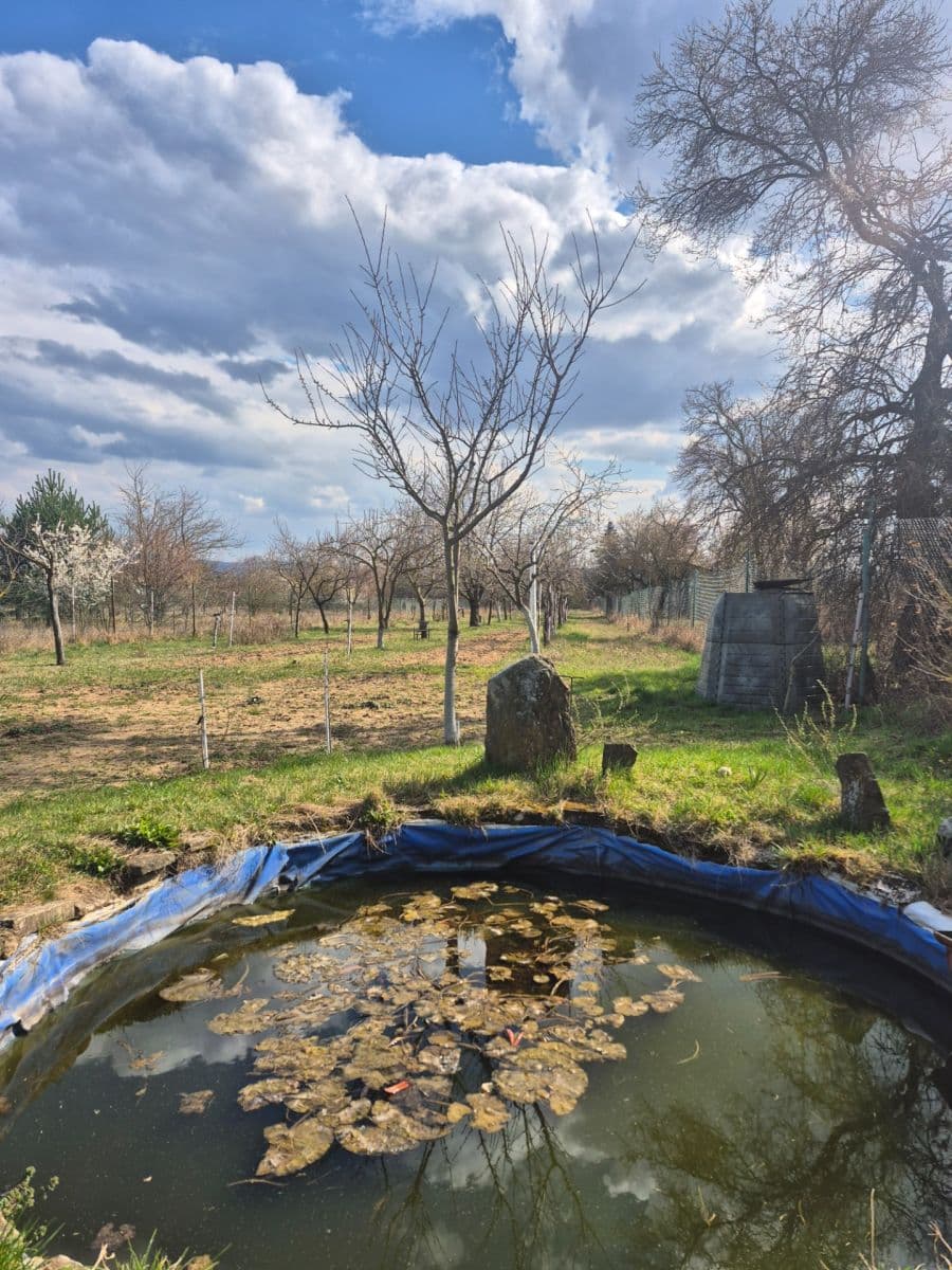 Prodej pozemku 2.950 m², Rohatec, Jihomoravský kraj Prodej pozemku 2.950 m², Rohatec, Jihomoravský kraj