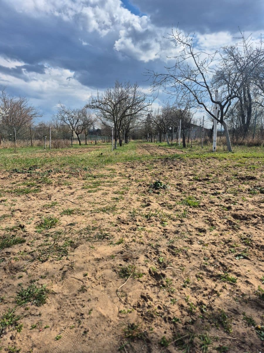 Prodej pozemku 2.950 m², Rohatec, Jihomoravský kraj Prodej pozemku 2.950 m², Rohatec, Jihomoravský kraj