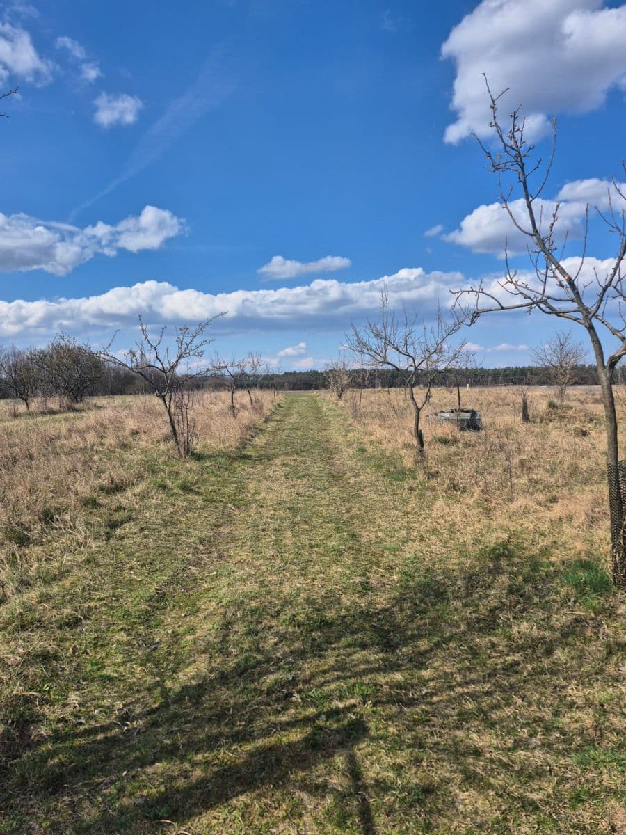 Prodej pozemku 2.950 m², Rohatec, Jihomoravský kraj Prodej pozemku 2.950 m², Rohatec, Jihomoravský kraj