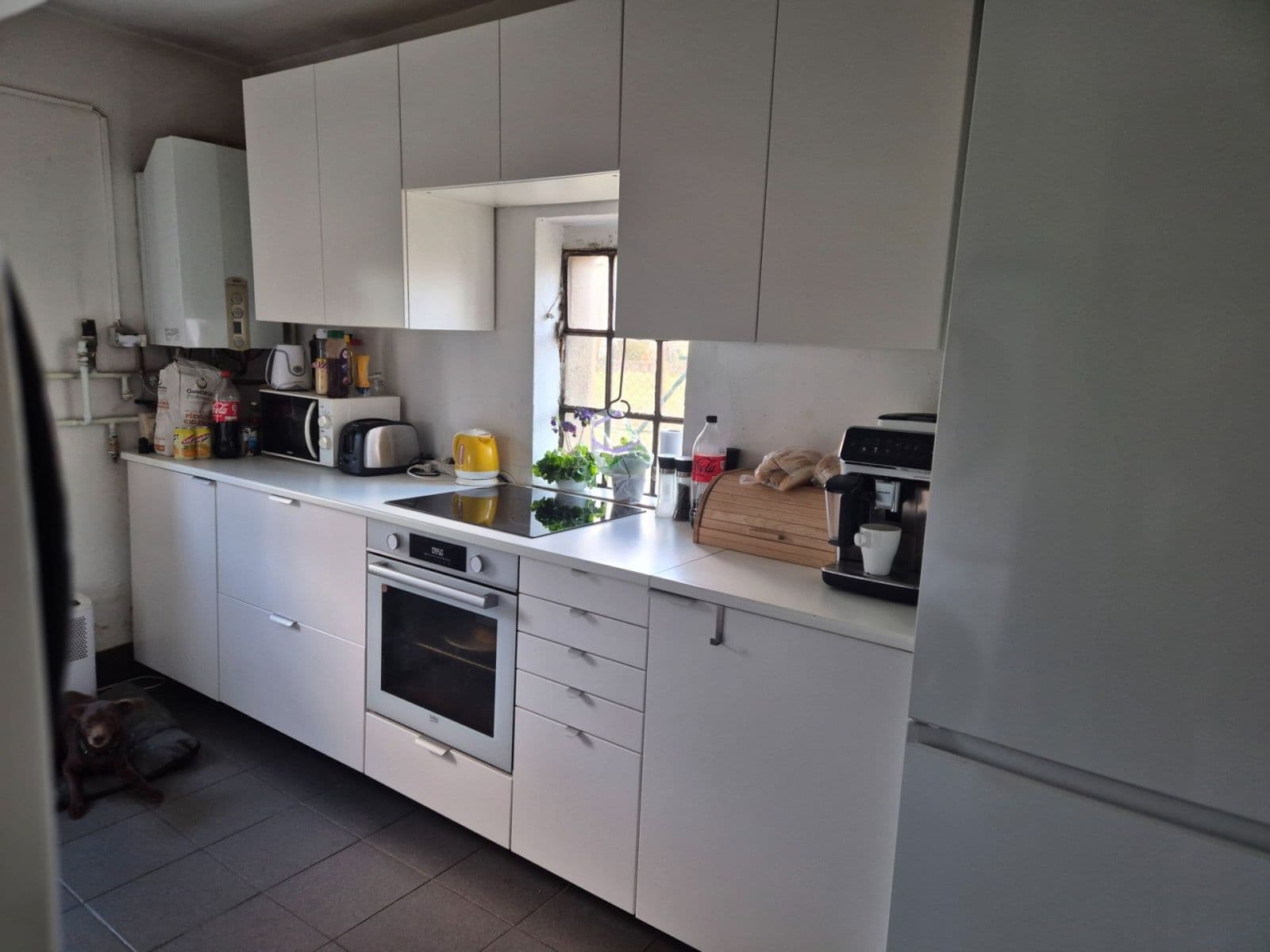 Pronájem nebytového prostoru 80 m², Na Koupaliště, Praha, Praha Pronájem nebytového prostoru 80 m², Na Koupaliště, Praha, Praha