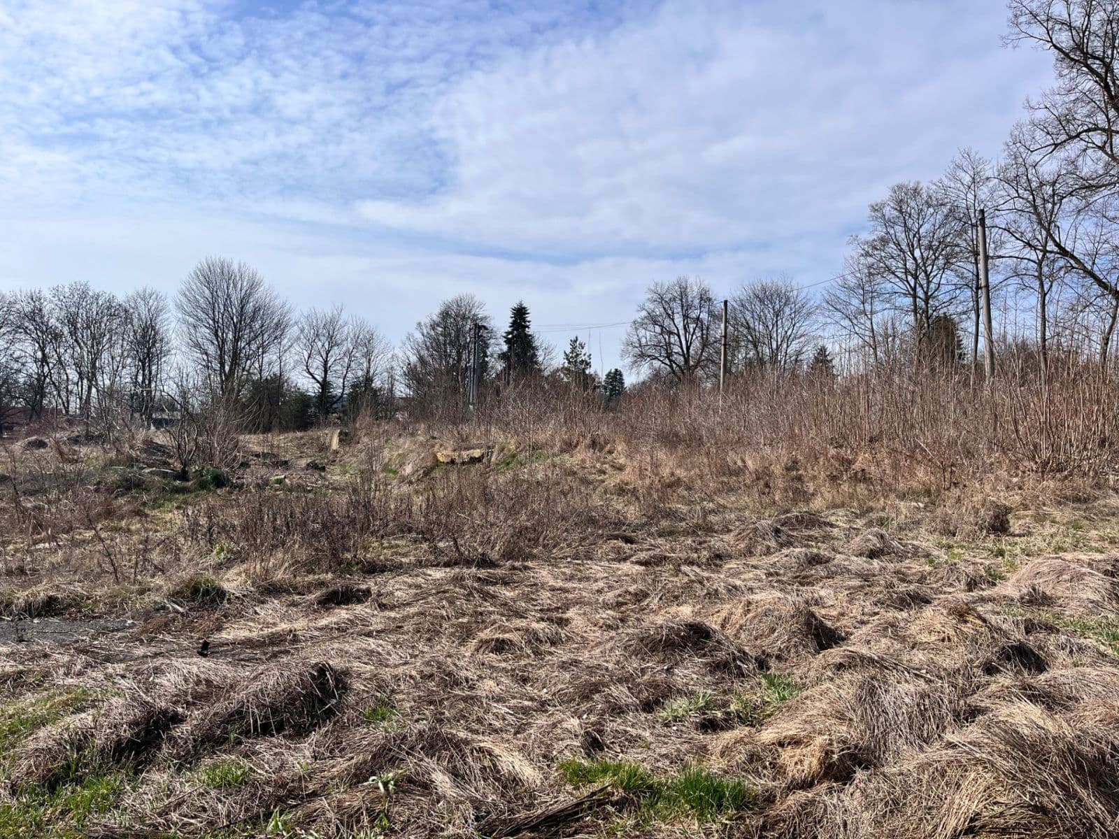 Prodej pozemku 11.196 m², Štědrá, Karlovarský kraj Prodej pozemku 11.196 m², Štědrá, Karlovarský kraj