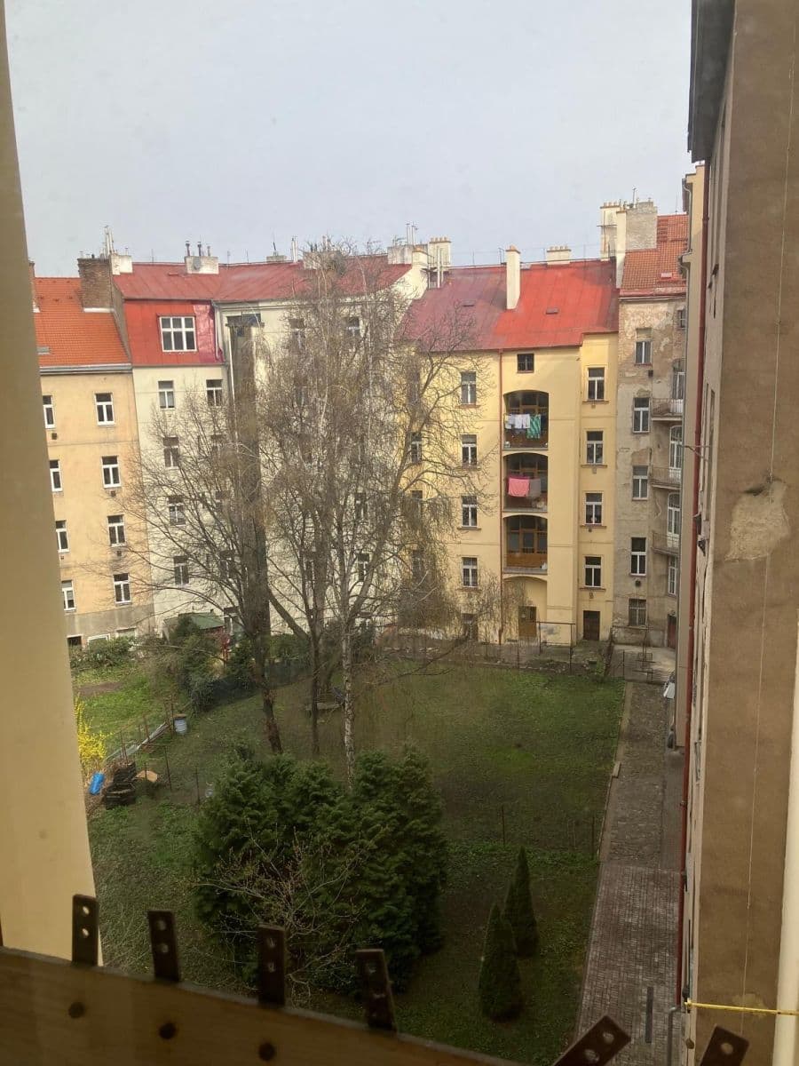 Pronájem bytu 3+1 105 m², Václavkova, Praha, Praha Pronájem bytu 3+1 105 m², Václavkova, Praha, Praha