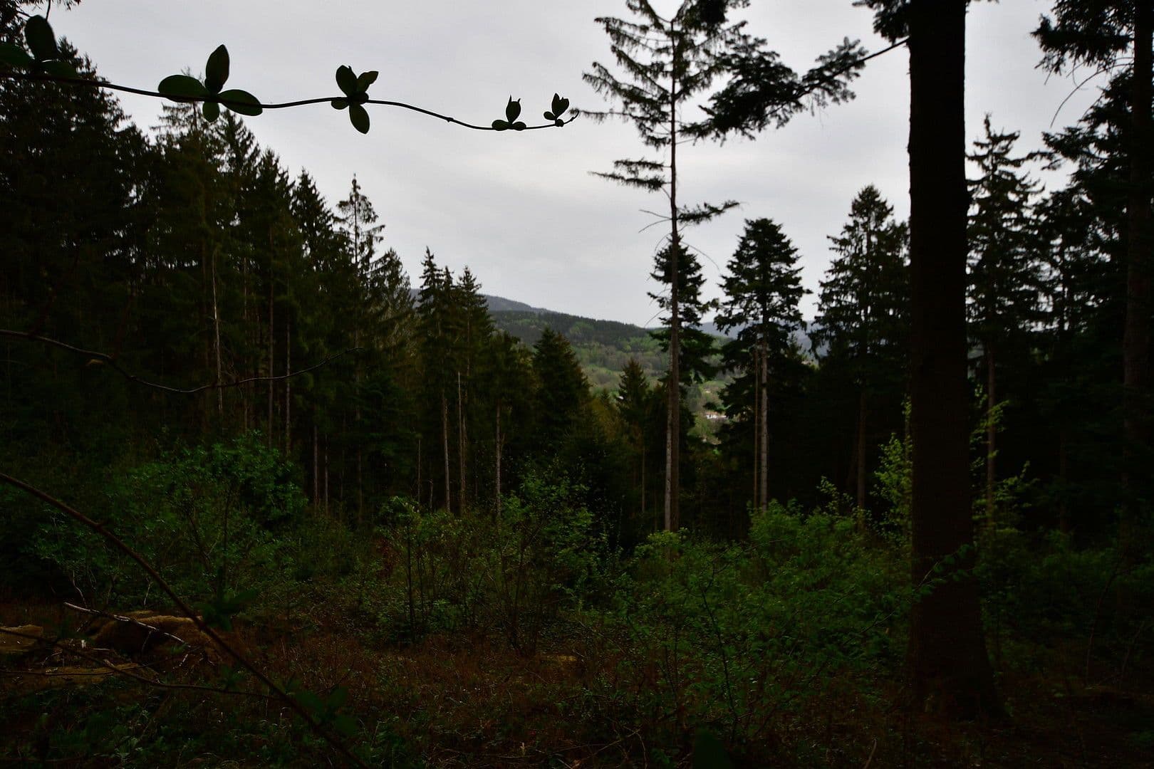 Prodej domu 50 m², pozemek 2.890 m², Bernried, Bavorsko Prodej domu 50 m², pozemek 2.890 m², Bernried, Bavorsko