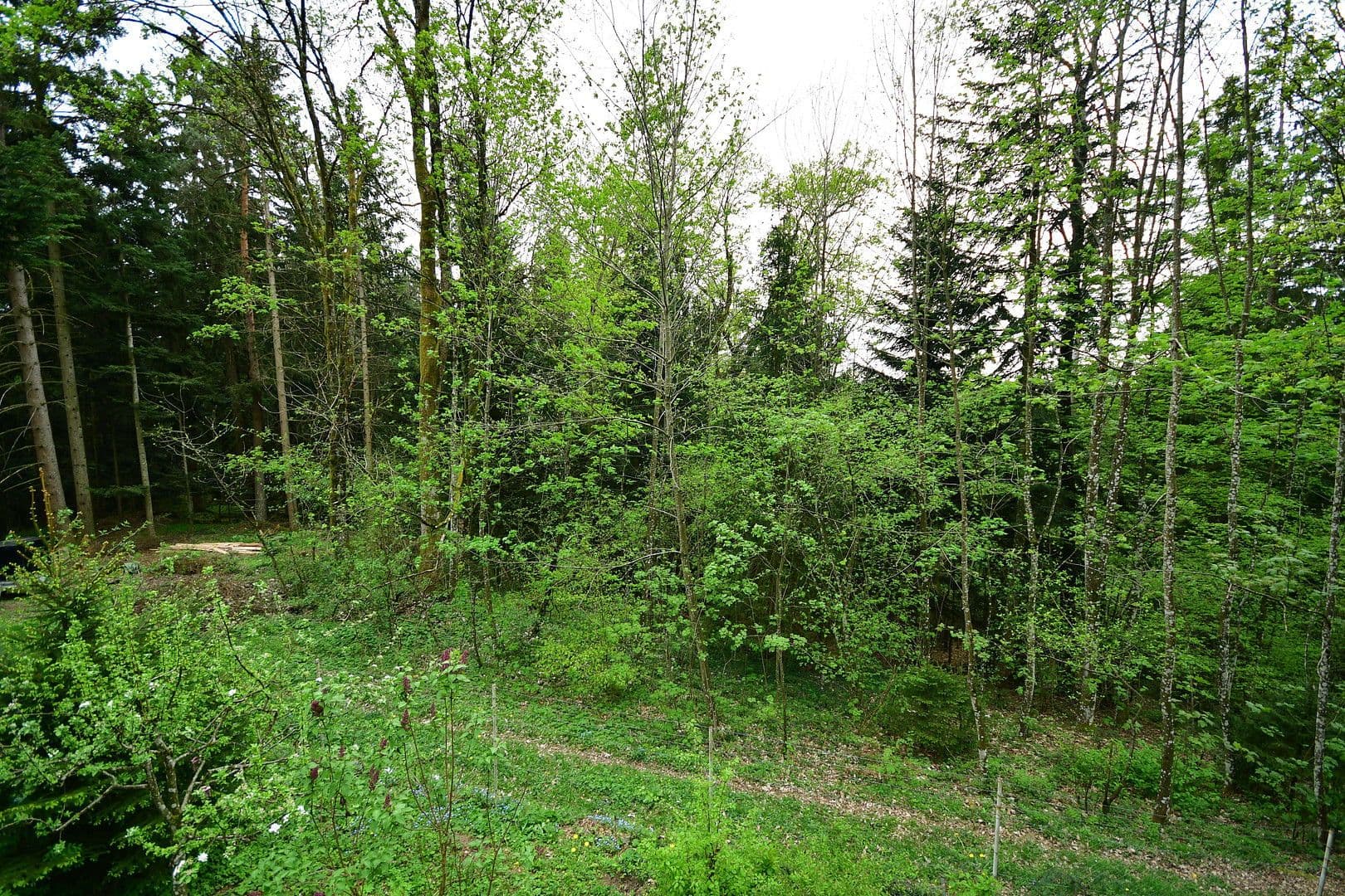 Prodej domu 50 m², pozemek 2.890 m², Bernried, Bavorsko Prodej domu 50 m², pozemek 2.890 m², Bernried, Bavorsko