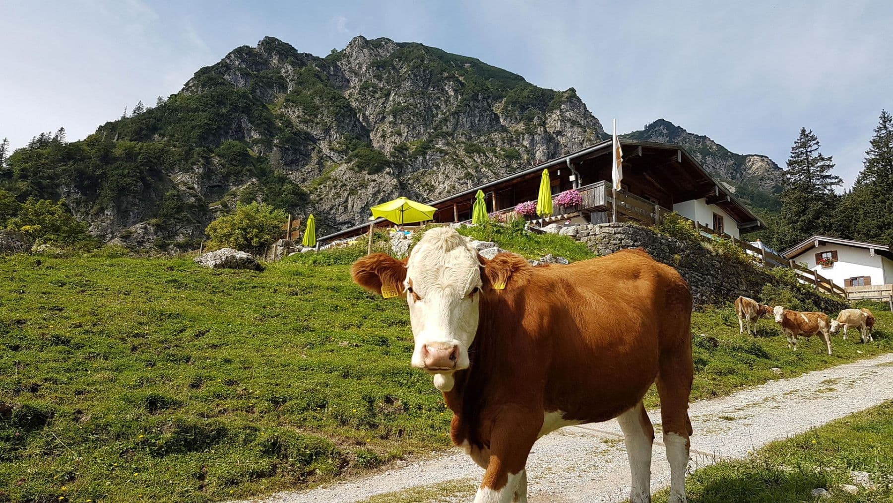 Prodej nebytového prostoru 935 m², Wuhrstein 17, Schleching, Bavorsko Prodej nebytového prostoru 935 m², Wuhrstein 17, Schleching, Bavorsko