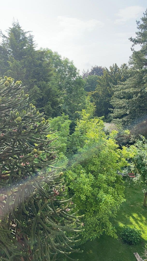 Pronájem bytu 4+1 112 m², Cracauer Straße 75, Krefeld, Severní Porýní-Vestfálsko Pronájem bytu 4+1 112 m², Cracauer Straße 75, Krefeld, Severní Porýní-Vestfálsko