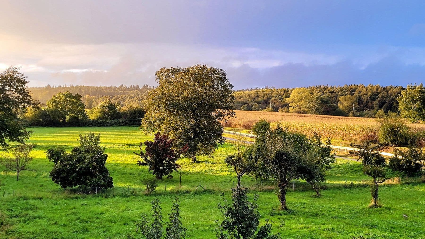 Prodej domu 210 m², pozemek 464 m², Allensbach, Bádensko-Württembersko Prodej domu 210 m², pozemek 464 m², Allensbach, Bádensko-Württembersko