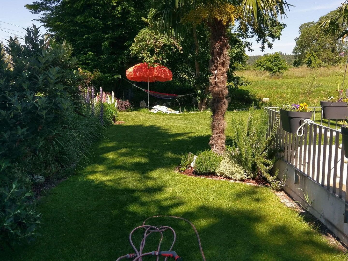 Prodej domu 210 m², pozemek 464 m², Allensbach, Bádensko-Württembersko Prodej domu 210 m², pozemek 464 m², Allensbach, Bádensko-Württembersko