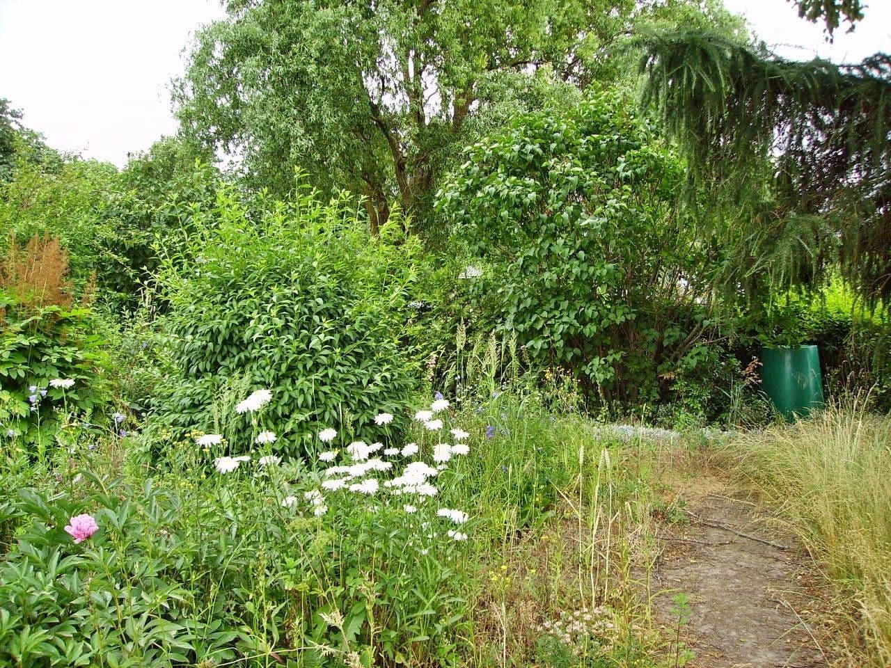 Pronájem bytu 2+1 58 m², Görke 32, Postlow, Mecklenburg-Vorpommern Pronájem bytu 2+1 58 m², Görke 32, Postlow, Mecklenburg-Vorpommern