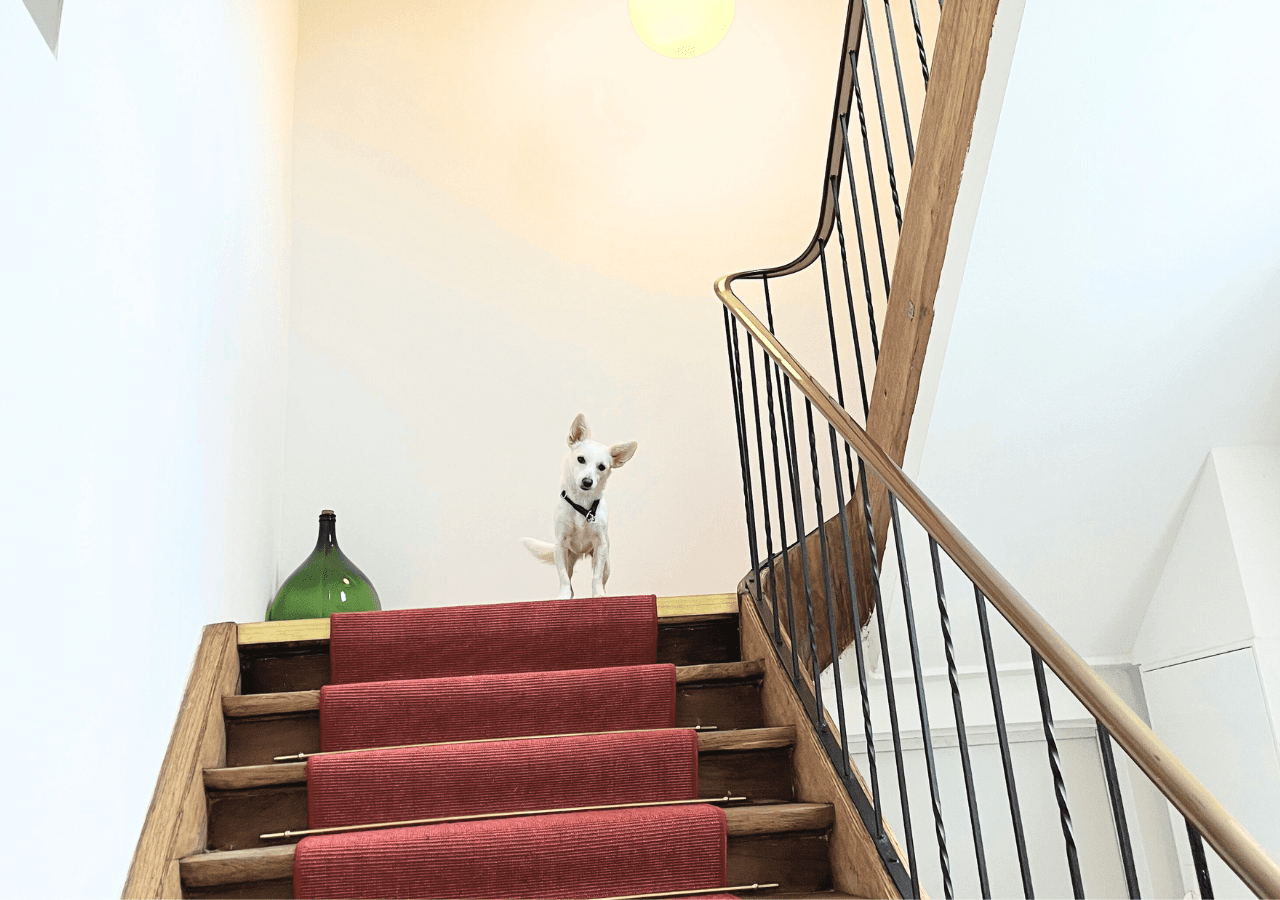 Pronájem bytu 1+1 40 m², Obertorplatz 14, Hechingen, Bádensko-Württembersko Pronájem bytu 1+1 40 m², Obertorplatz 14, Hechingen, Bádensko-Württembersko