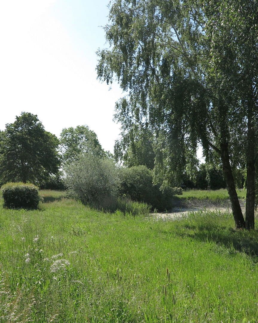 Prodej domu 1.200 m², pozemek 7.000 m², Ivenack, Mecklenburg-Vorpommern Prodej domu 1.200 m², pozemek 7.000 m², Ivenack, Mecklenburg-Vorpommern