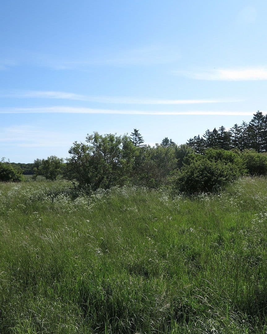 Prodej domu 1.200 m², pozemek 7.000 m², Ivenack, Mecklenburg-Vorpommern Prodej domu 1.200 m², pozemek 7.000 m², Ivenack, Mecklenburg-Vorpommern