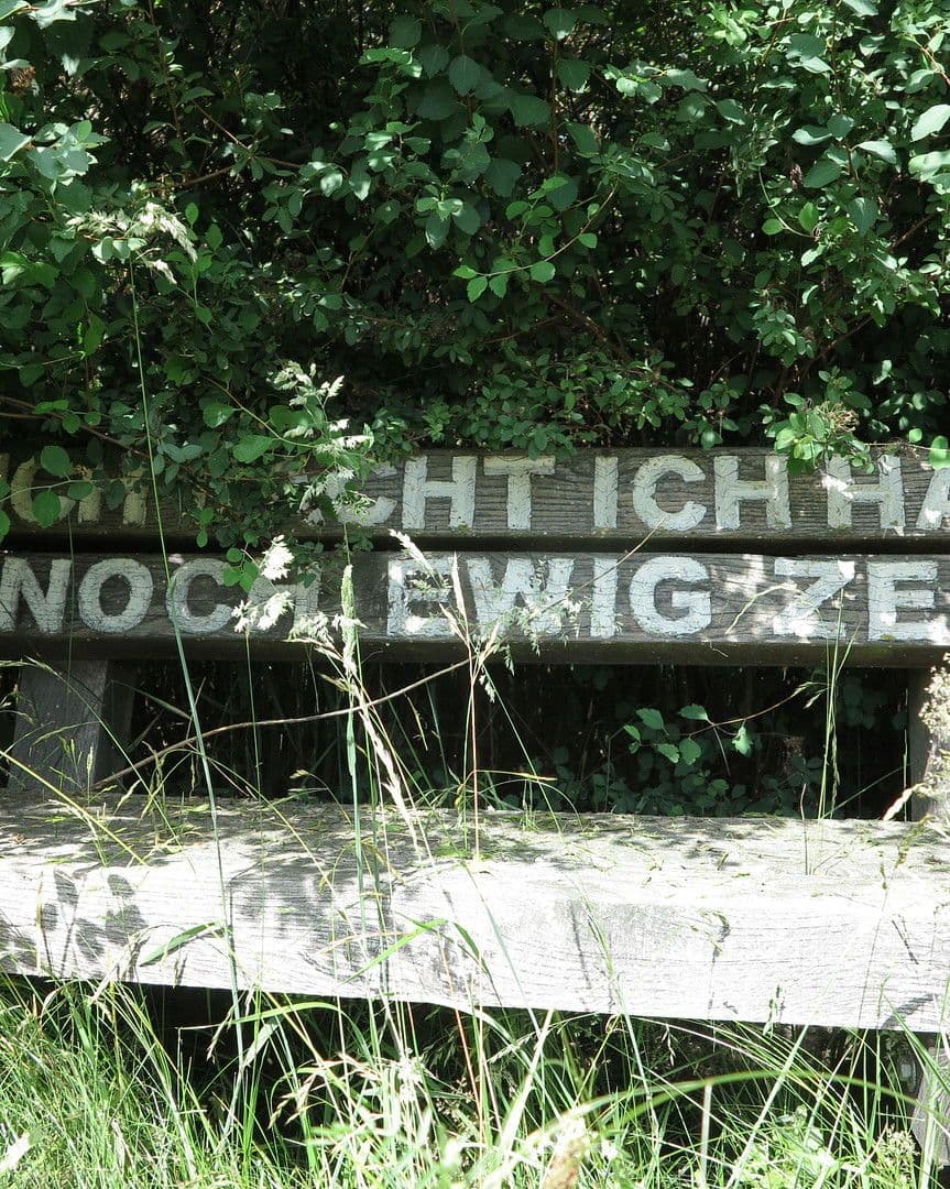 Prodej domu 1.200 m², pozemek 7.000 m², Ivenack, Mecklenburg-Vorpommern Prodej domu 1.200 m², pozemek 7.000 m², Ivenack, Mecklenburg-Vorpommern