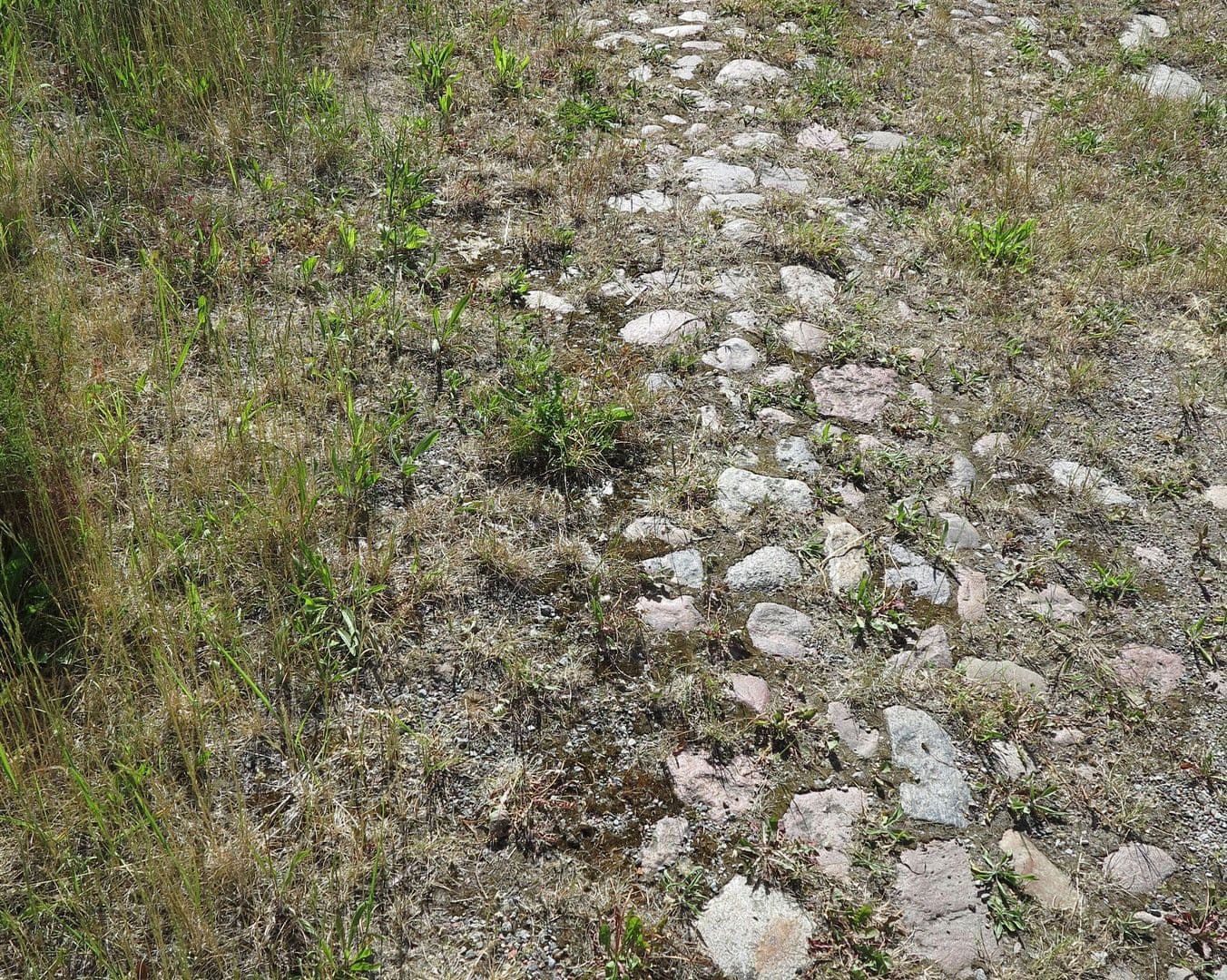 Prodej domu 1.200 m², pozemek 7.000 m², Ivenack, Mecklenburg-Vorpommern Prodej domu 1.200 m², pozemek 7.000 m², Ivenack, Mecklenburg-Vorpommern