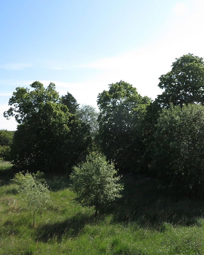 Prodej domu 1.200 m², pozemek 7.000 m², Ivenack, Mecklenburg-Vorpommern Prodej domu 1.200 m², pozemek 7.000 m², Ivenack, Mecklenburg-Vorpommern