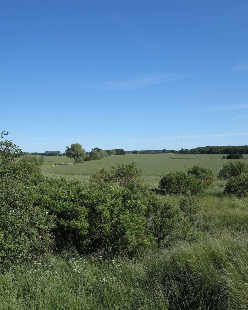 Prodej domu 1.200 m², pozemek 7.000 m², Ivenack, Mecklenburg-Vorpommern Prodej domu 1.200 m², pozemek 7.000 m², Ivenack, Mecklenburg-Vorpommern