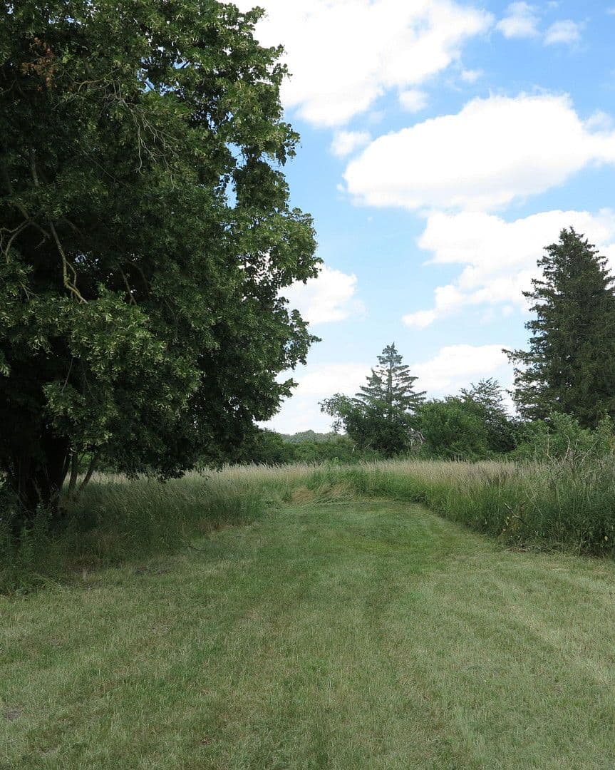 Prodej domu 1.200 m², pozemek 7.000 m², Ivenack, Mecklenburg-Vorpommern Prodej domu 1.200 m², pozemek 7.000 m², Ivenack, Mecklenburg-Vorpommern