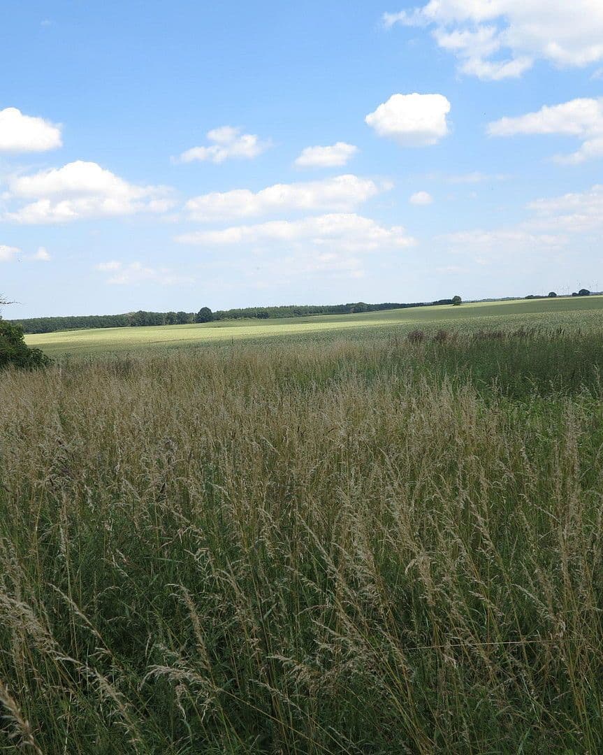 Prodej domu 1.200 m², pozemek 7.000 m², Ivenack, Mecklenburg-Vorpommern Prodej domu 1.200 m², pozemek 7.000 m², Ivenack, Mecklenburg-Vorpommern