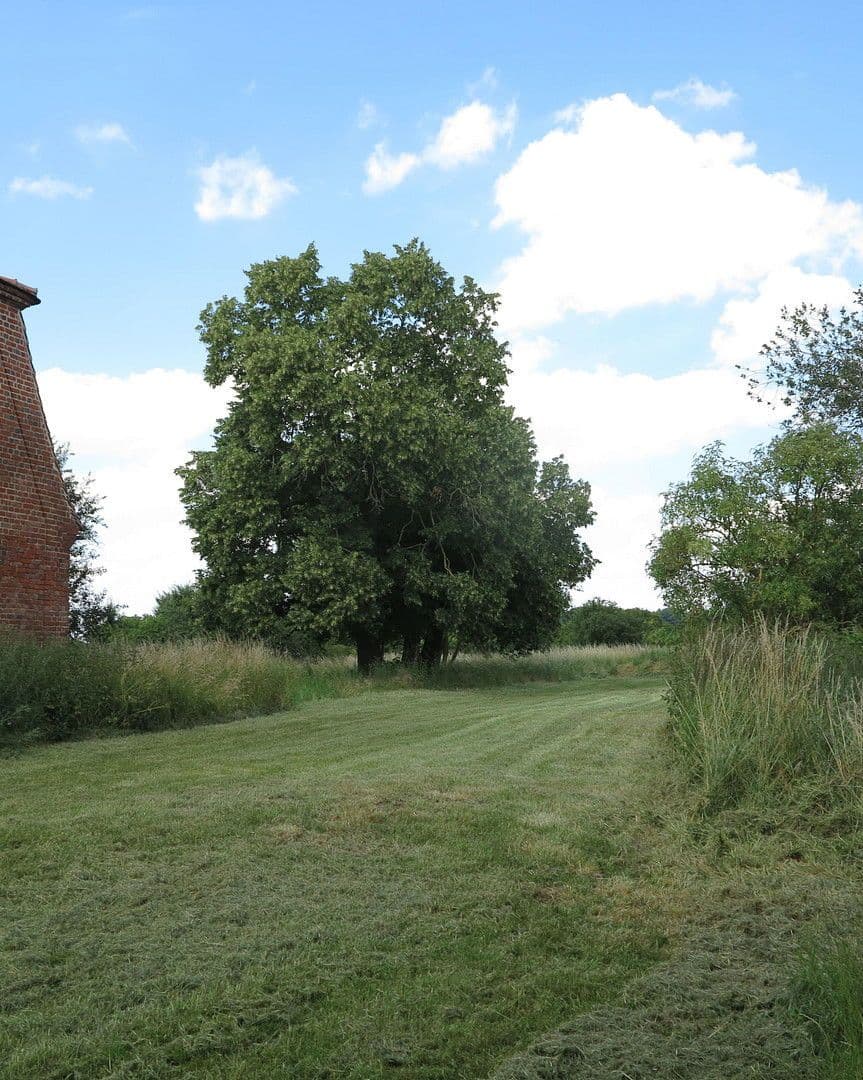 Prodej domu 1.200 m², pozemek 7.000 m², Ivenack, Mecklenburg-Vorpommern Prodej domu 1.200 m², pozemek 7.000 m², Ivenack, Mecklenburg-Vorpommern