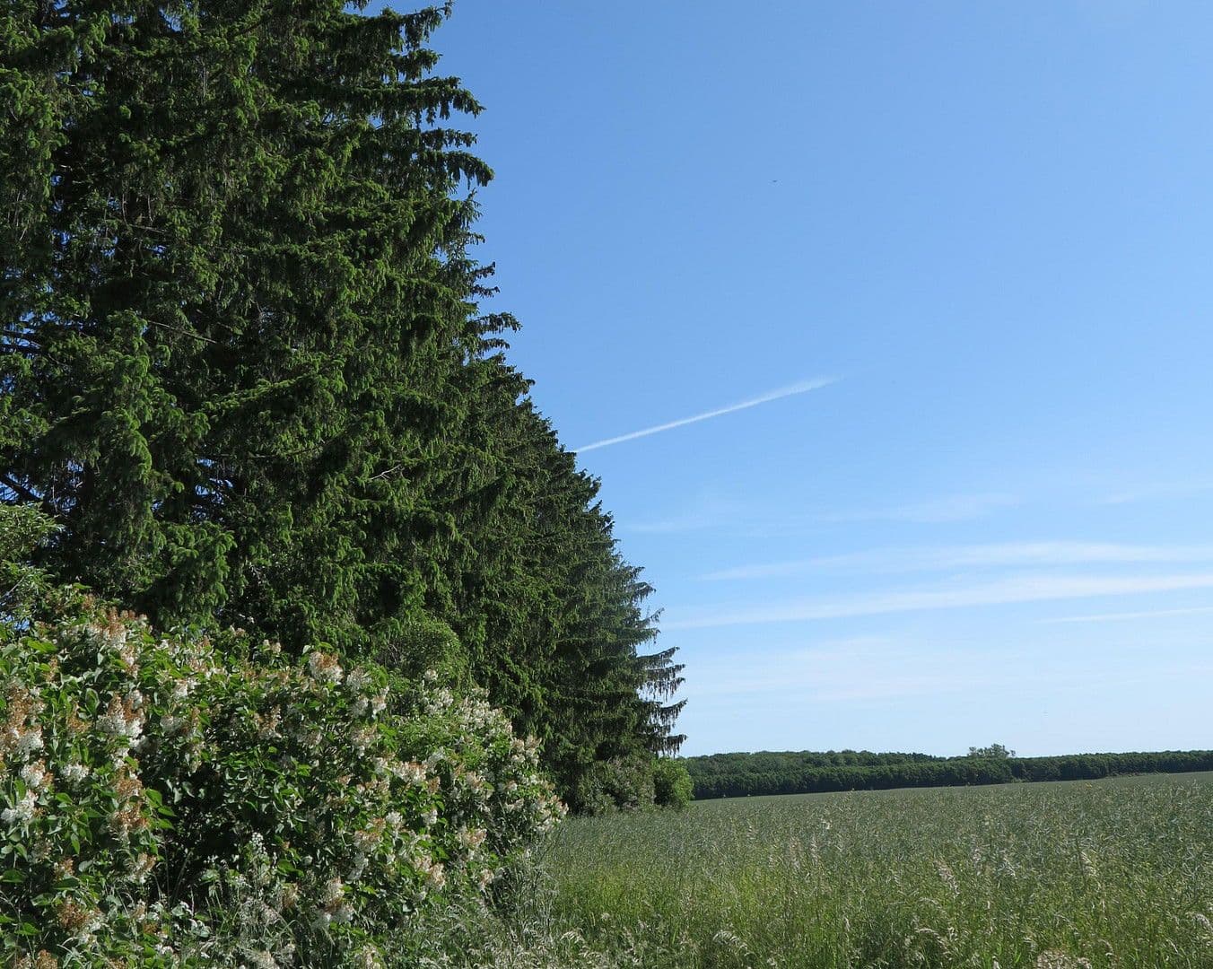 Prodej domu 1.200 m², pozemek 7.000 m², Ivenack, Mecklenburg-Vorpommern Prodej domu 1.200 m², pozemek 7.000 m², Ivenack, Mecklenburg-Vorpommern