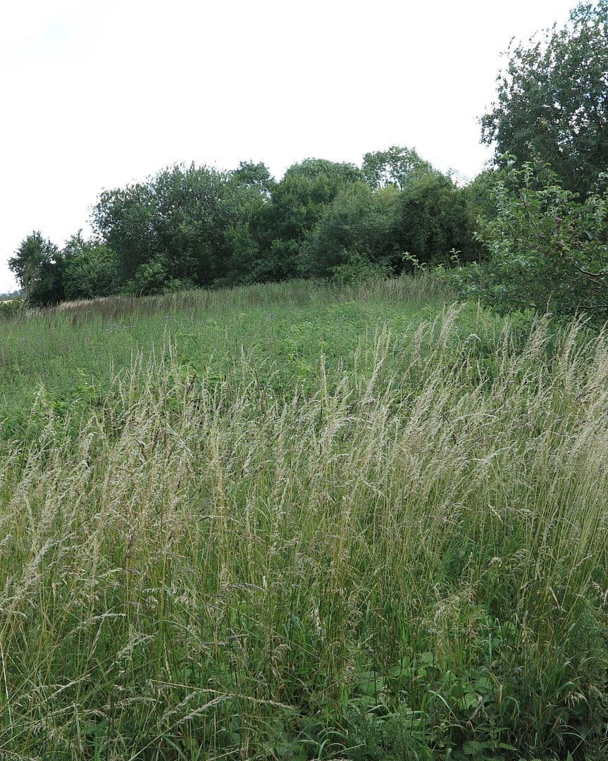 Prodej domu 1.200 m², pozemek 7.000 m², Ivenack, Mecklenburg-Vorpommern Prodej domu 1.200 m², pozemek 7.000 m², Ivenack, Mecklenburg-Vorpommern