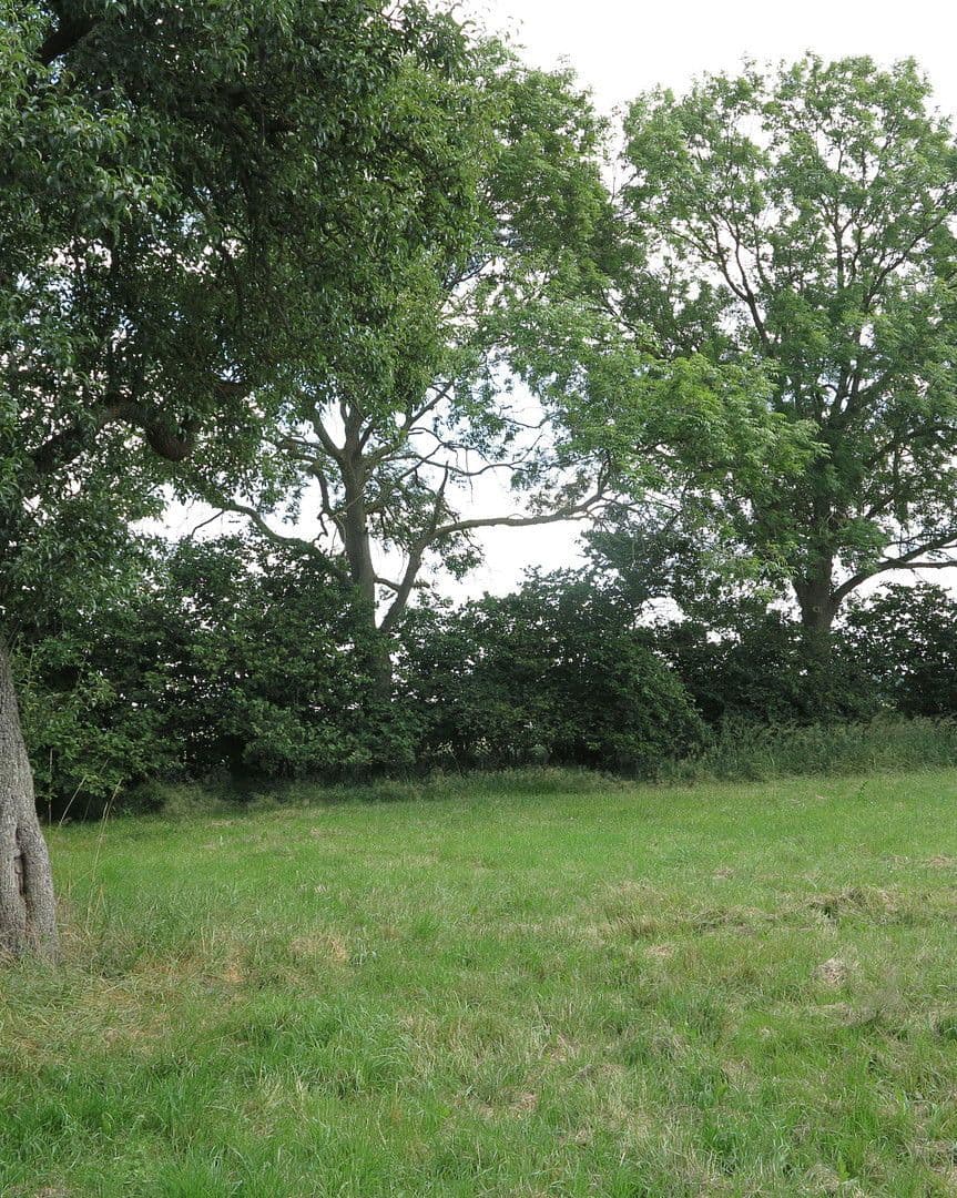 Prodej domu 1.200 m², pozemek 7.000 m², Ivenack, Mecklenburg-Vorpommern Prodej domu 1.200 m², pozemek 7.000 m², Ivenack, Mecklenburg-Vorpommern