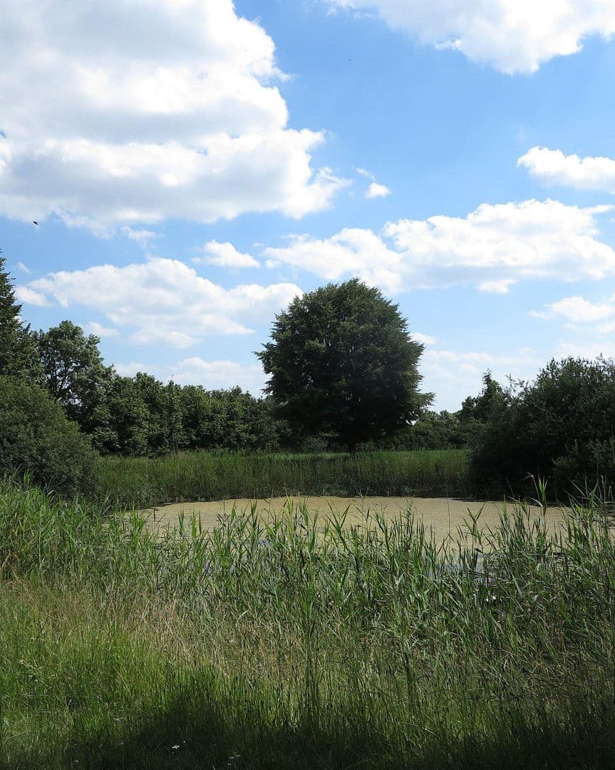 Prodej domu 1.200 m², pozemek 7.000 m², Ivenack, Mecklenburg-Vorpommern Prodej domu 1.200 m², pozemek 7.000 m², Ivenack, Mecklenburg-Vorpommern