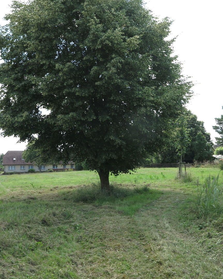 Prodej domu 1.200 m², pozemek 7.000 m², Ivenack, Mecklenburg-Vorpommern Prodej domu 1.200 m², pozemek 7.000 m², Ivenack, Mecklenburg-Vorpommern