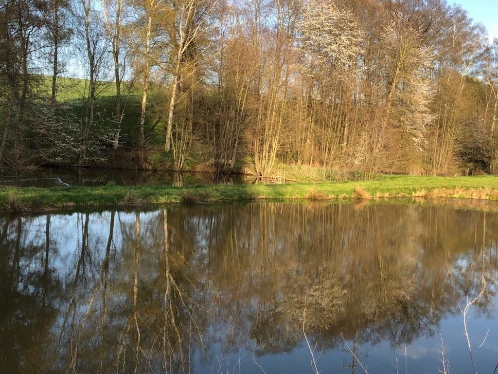 Pronájem pozemku 9.000 m², Lange Reihe, Seesen, Dolní Sasko Pronájem pozemku 9.000 m², Lange Reihe, Seesen, Dolní Sasko