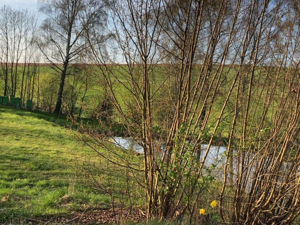 Pronájem pozemku 9.000 m², Lange Reihe, Seesen, Dolní Sasko Pronájem pozemku 9.000 m², Lange Reihe, Seesen, Dolní Sasko