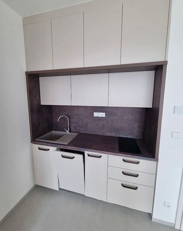 Pronájem bytu 1+kk 33 m², Opuštěná, Brno, Jihomoravský kraj Pronájem bytu 1+kk 33 m², Opuštěná, Brno, Jihomoravský kraj