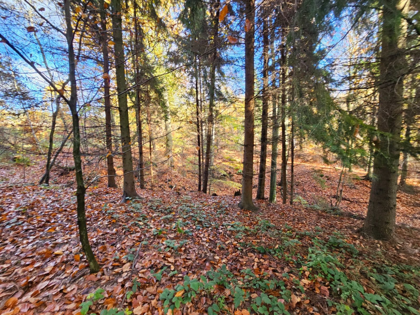 Prodej pozemku 31.850 m², Bílovec, Moravskoslezský kraj Prodej pozemku 31.850 m², Bílovec, Moravskoslezský kraj