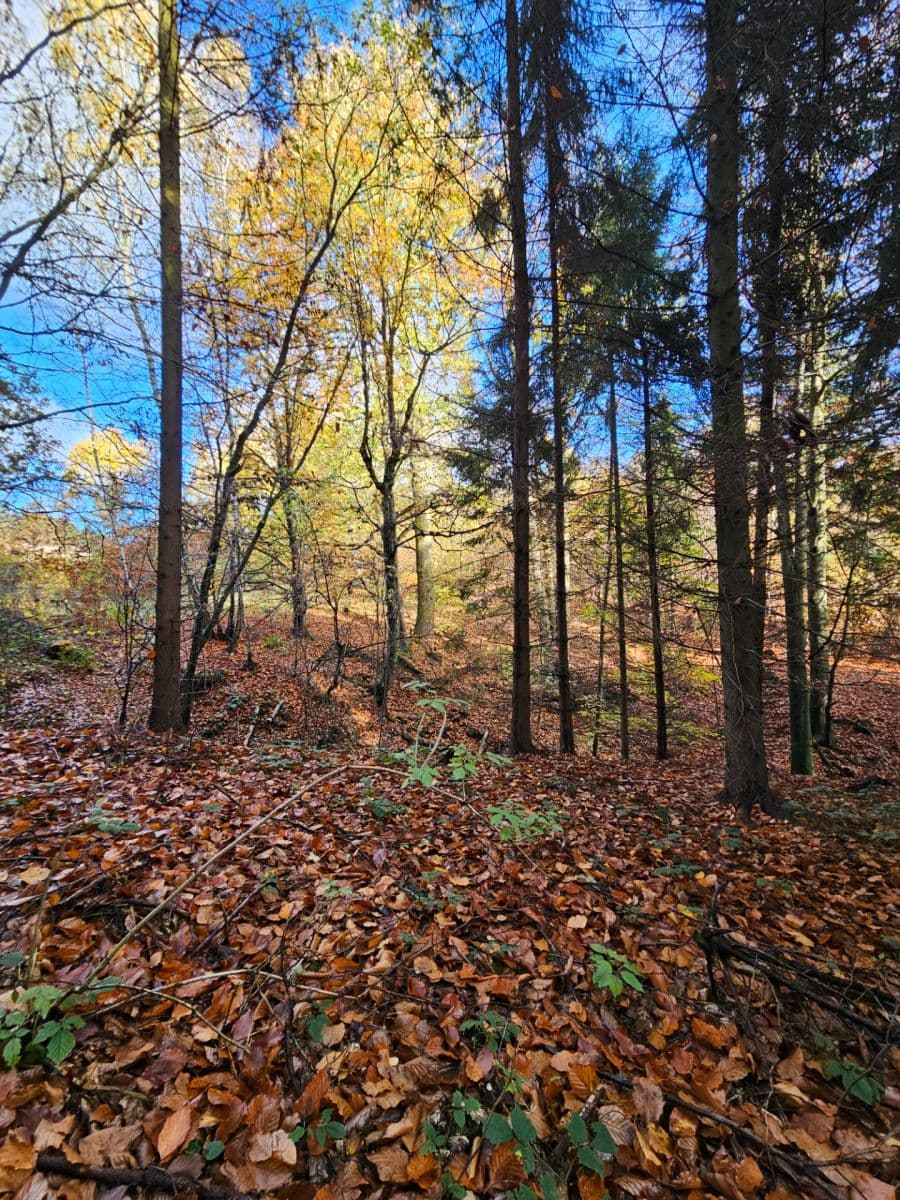 Prodej pozemku 31.850 m², Bílovec, Moravskoslezský kraj Prodej pozemku 31.850 m², Bílovec, Moravskoslezský kraj