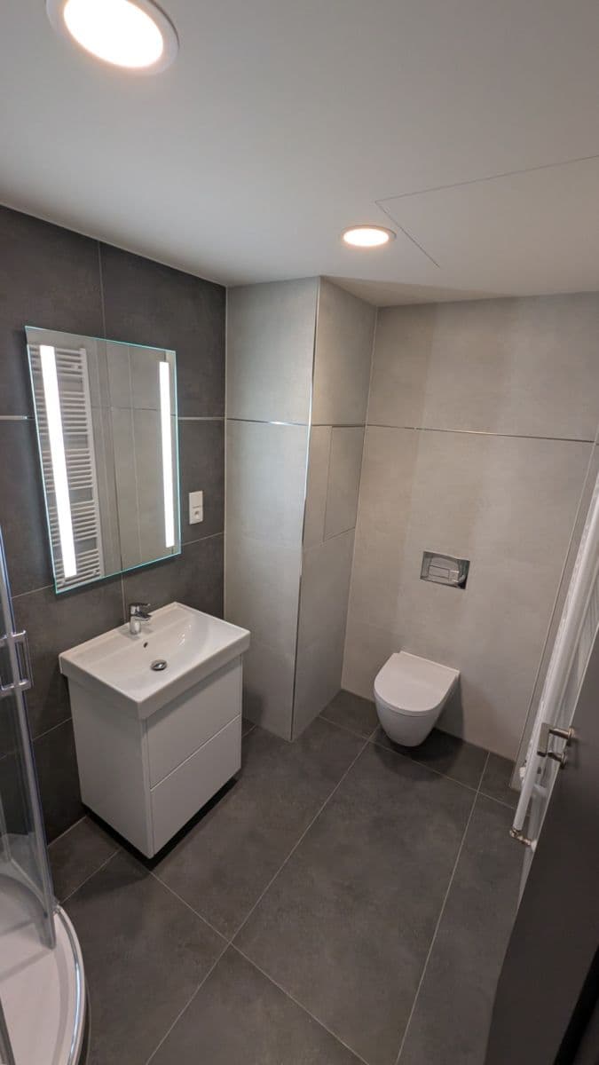 Pronájem bytu 1+kk 47 m², Poděbradská, Praha, Praha Pronájem bytu 1+kk 47 m², Poděbradská, Praha, Praha