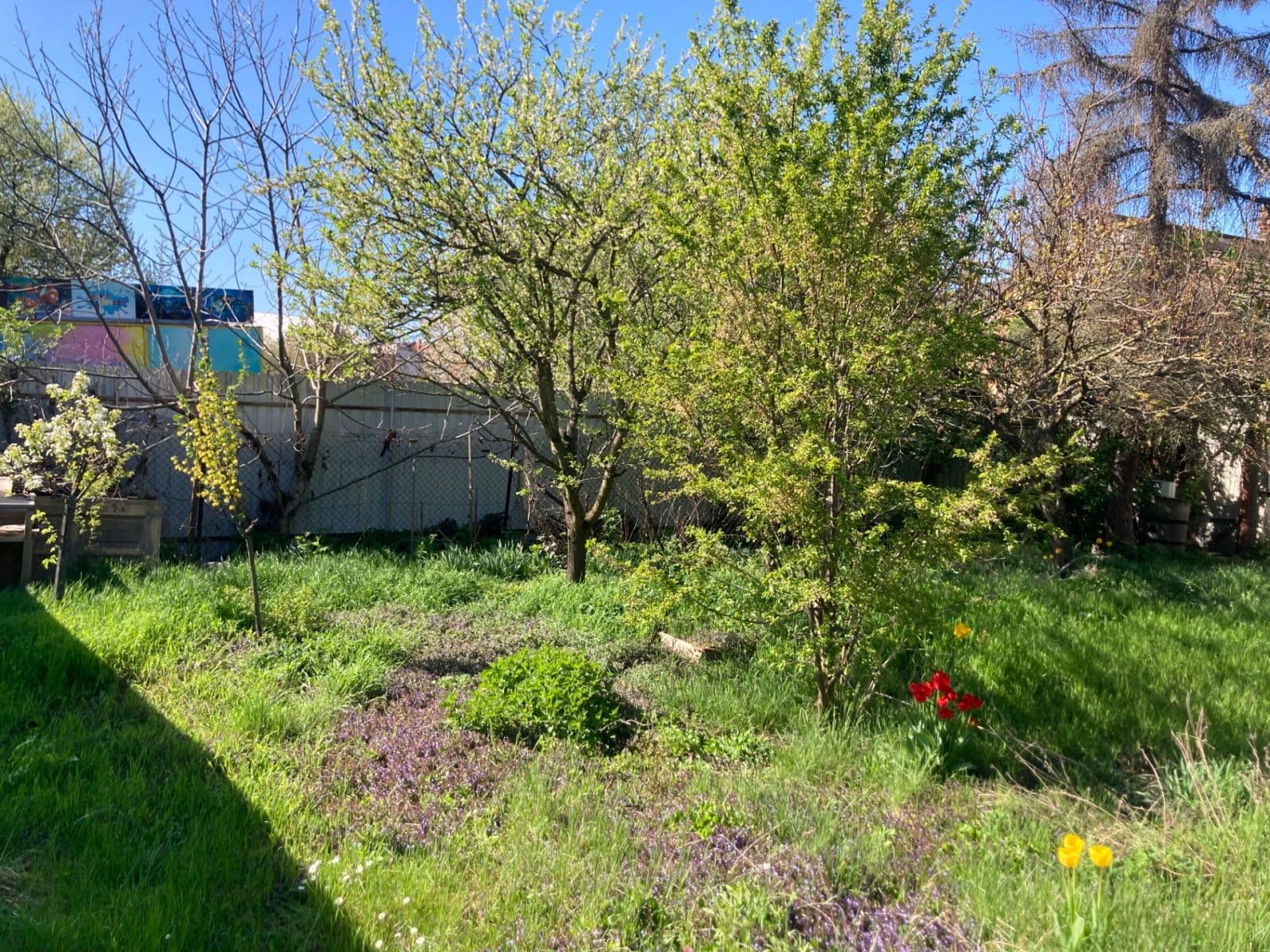 Prodej domu 163 m², pozemek 602 m², Kostelec na Hané, Olomoucký kraj Prodej domu 163 m², pozemek 602 m², Kostelec na Hané, Olomoucký kraj