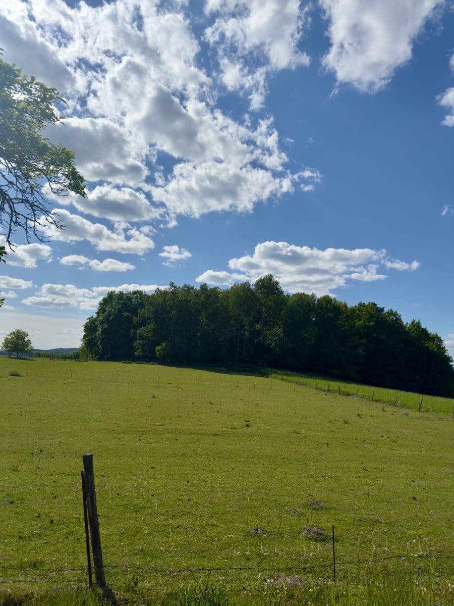 Prodej pozemku 1.172 m², Březová, Karlovarský kraj Prodej pozemku 1.172 m², Březová, Karlovarský kraj