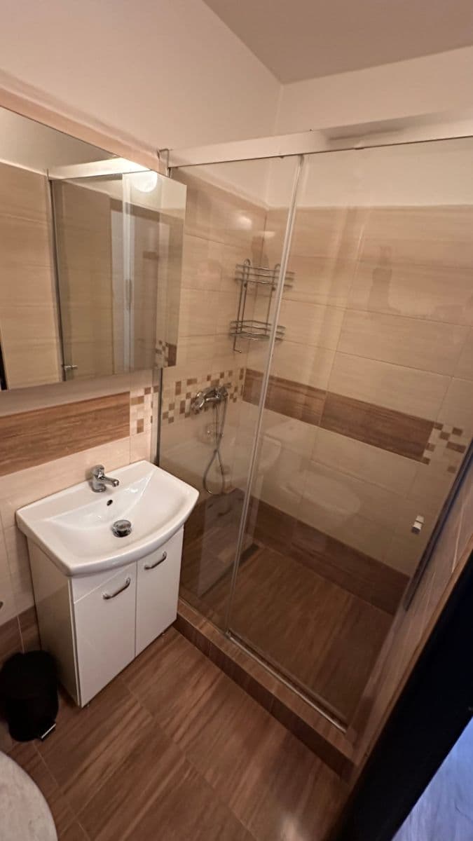 Pronájem bytu 1+kk 27 m², České družiny, Praha, Praha Pronájem bytu 1+kk 27 m², České družiny, Praha, Praha