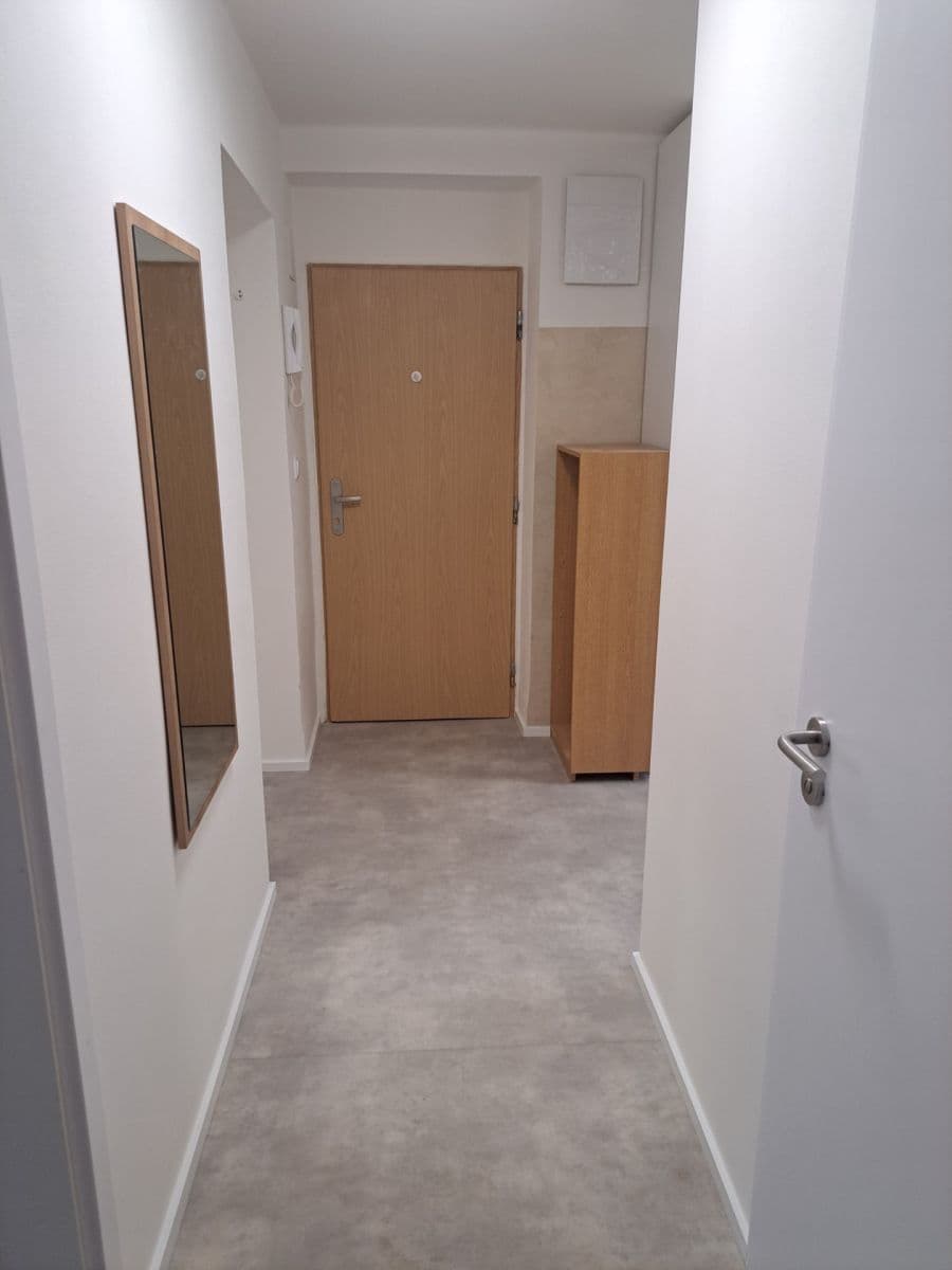 Pronájem bytu 2+1 42 m², Zengrova, Praha, Praha Pronájem bytu 2+1 42 m², Zengrova, Praha, Praha